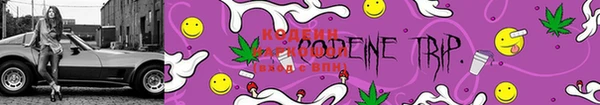 ПСИЛОЦИБИНОВЫЕ ГРИБЫ Семилуки