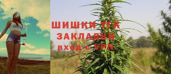 ПСИЛОЦИБИНОВЫЕ ГРИБЫ Семилуки