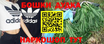 спиды Аргун