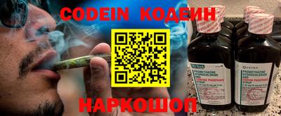 крисы Гагарин