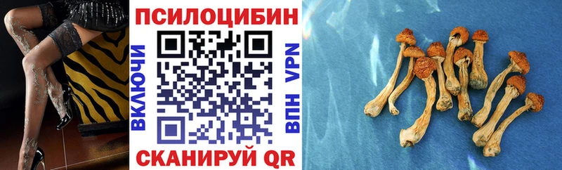 Галлюциногенные грибы мухоморы  MEGA онион  Ковров 