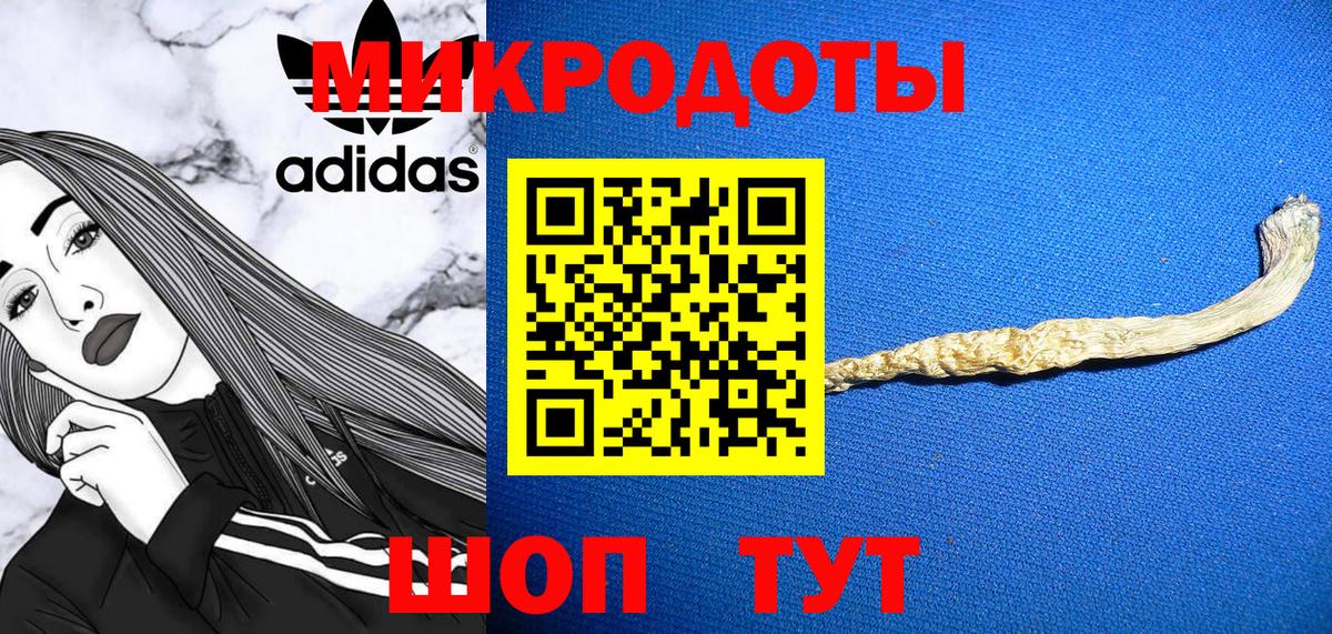 Ковров  Псилоцибиновые грибы Magic Shrooms  Вход с VPN  Псилоцибиновые грибы Psilocybe 