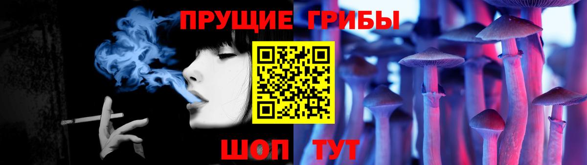 Псилоцибиновые грибы мицелий  Галлюциногенные грибы Cubensis  Ковров 